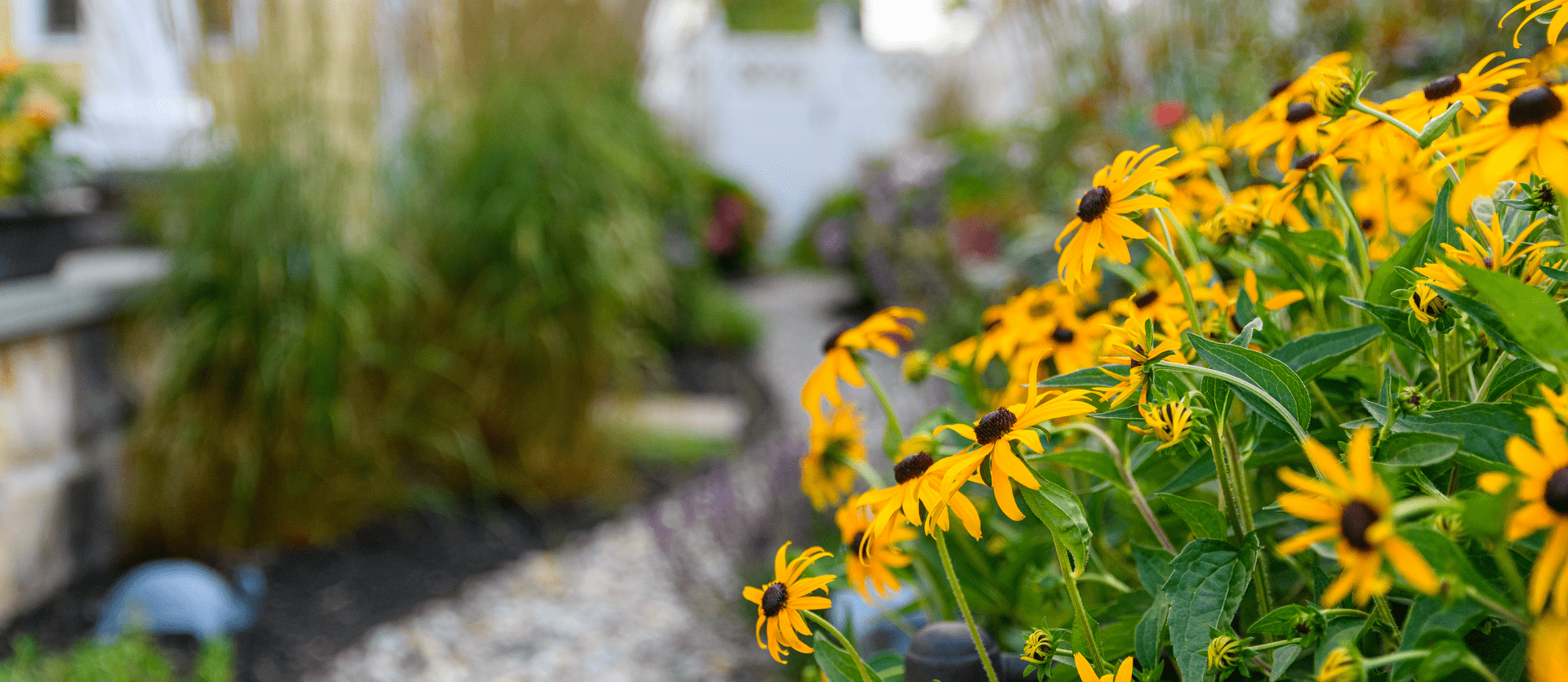 Container Gardening with Vegetables - Gasper Landscape Design & Construction