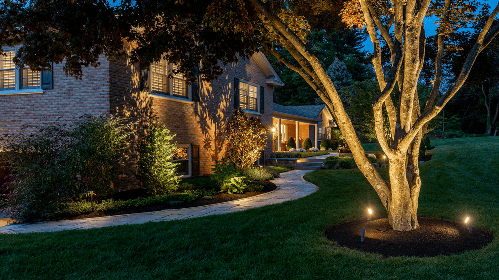 uplit-tree-in-front – Gasper Landscape Design & Construction